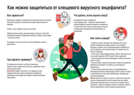 Клещевой вирусный энцефалит